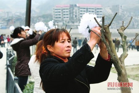 数万北川人重回老县城悼逝者 沿街树枝挂白花